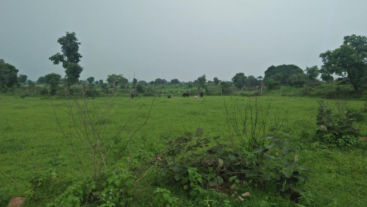 Prem Home Stay Khajurāho Exteriör bild
