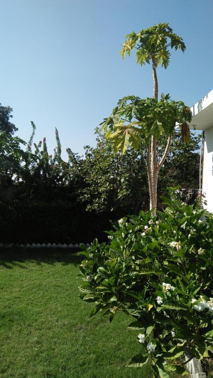 Prem Home Stay Khajurāho Exteriör bild
